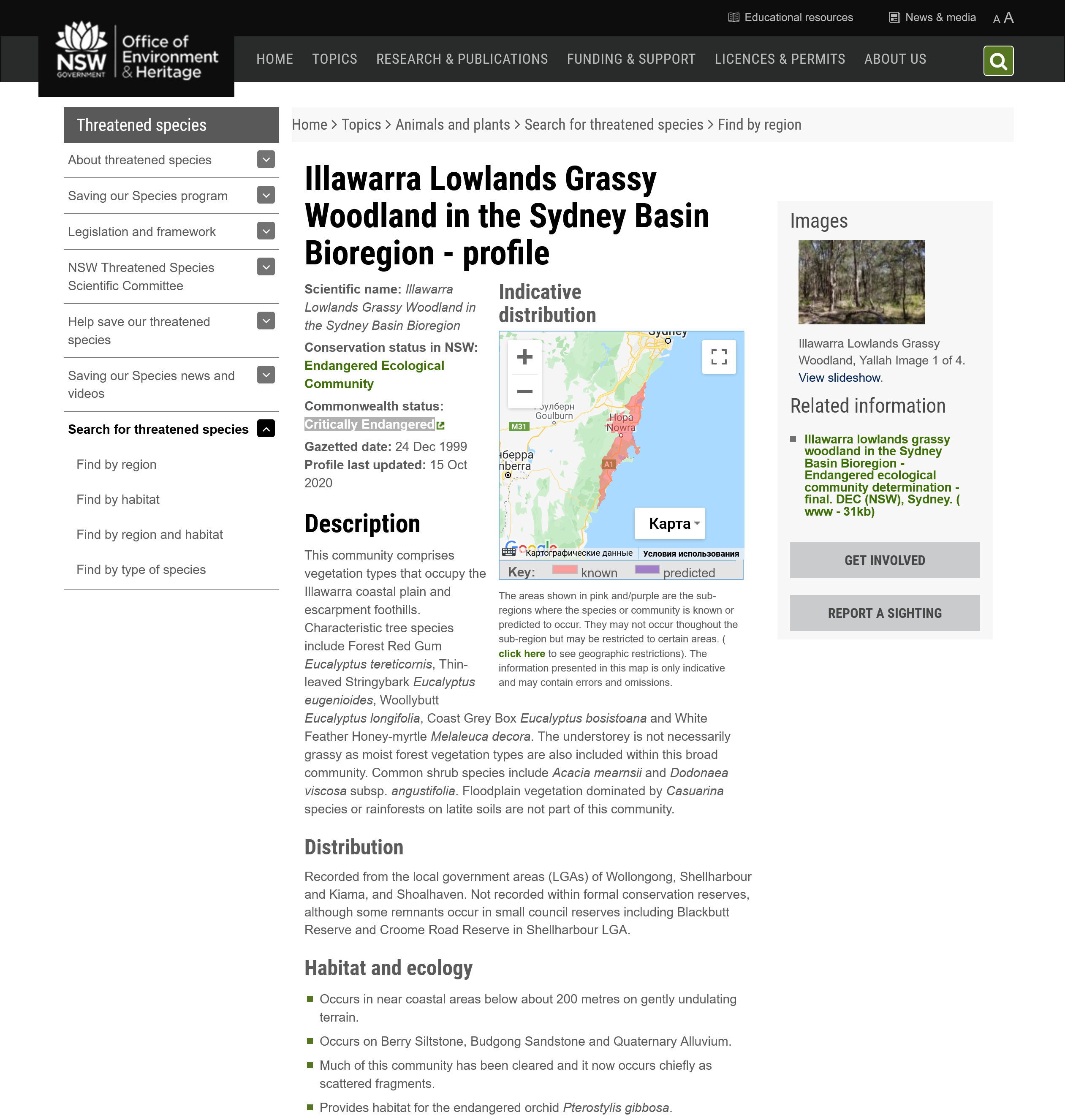 Illawarra Lowlands Grassy Woodland in the Sydney Basin Bioregion 